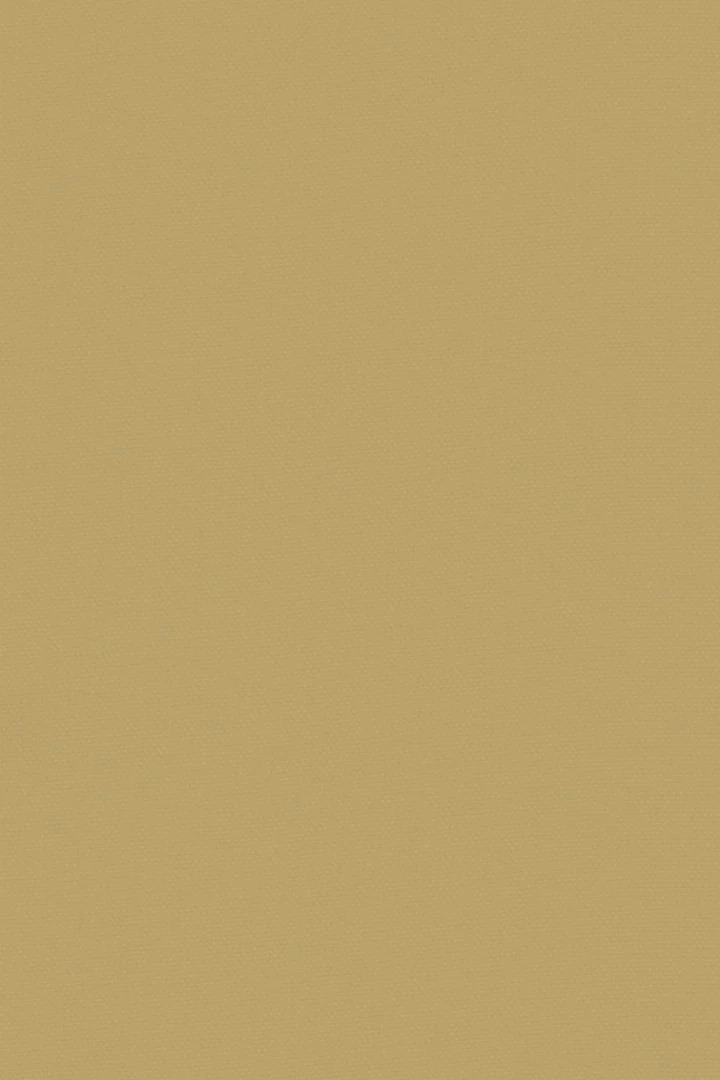 Casey Marks WHAT'S HOT Cotton Eugenie Dress 4 Casey Marks WHAT'S HOT Cotton Eugenie Dress