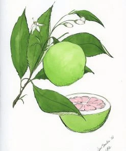 Lia Burke Libaire WHAT'S HOT Citrus