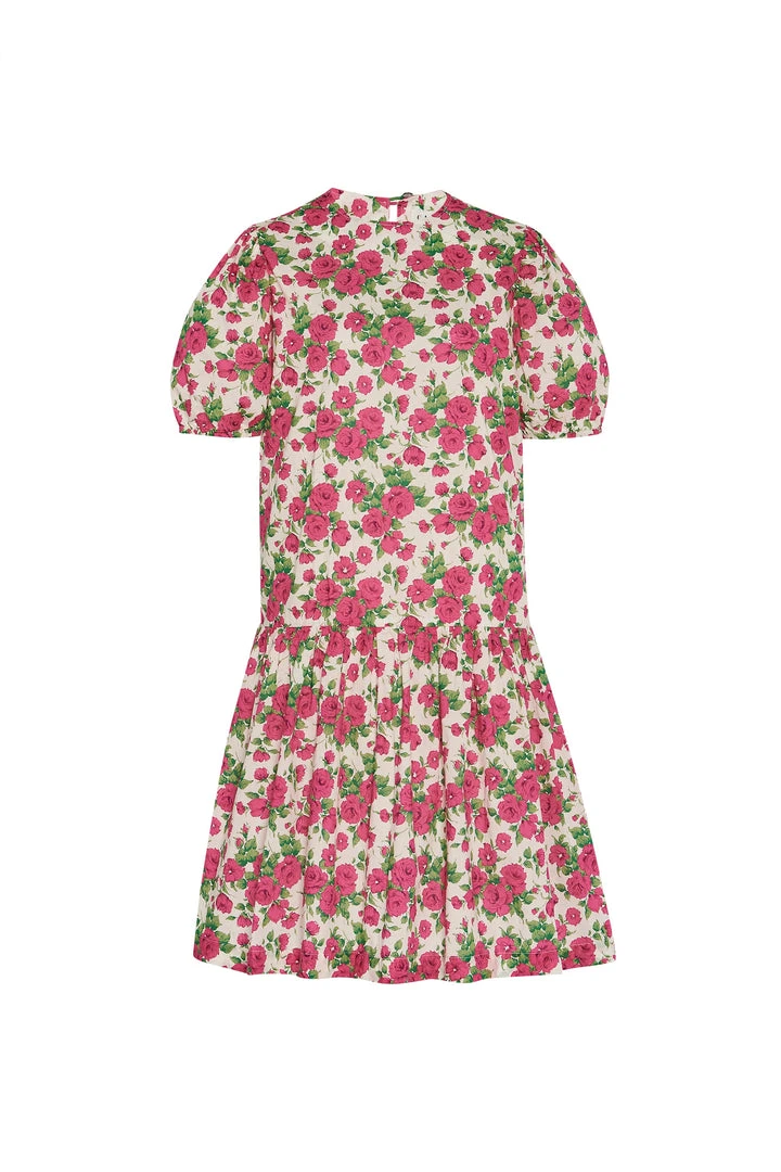 Casey Marks WHAT'S HOT Magenta Rose Emma Dress 3 Casey Marks WHAT'S HOT Magenta Rose Emma Dress