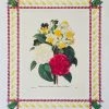 Missy Norton Art & Games Camelia Antique Print With Hand-painted Ribbon Border