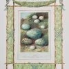 Missy Norton Cool As IKat Nest & Eggs Antique Print With Hand-painted Garland Border 1 Missy Norton Cool As IKat Nest & Eggs Antique Print With Hand-painted Garland Border