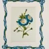 Missy Norton Art & Games Morning Glory Antique Print With Hand-painted Ribbon Border.