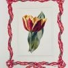 Missy Norton Red Tulip Antique Print With Hand-painted Ribbon Border Cool As IKat