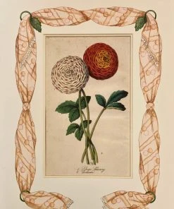 Missy Norton Art & Games Ranunculus Antique Print With Hand-painted Fabric Border