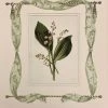 Missy Norton Best Sellers Lily Of The Valley Antique Print With Hand-painted Fabric Border 1 Missy Norton Best Sellers Lily Of The Valley Antique Print With Hand-painted Fabric Border