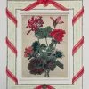 Missy Norton Art & Games Geranium Antique Print With Hand-painted Ribbon Border