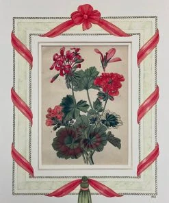 Missy Norton Art & Games Geranium Antique Print With Hand-painted Ribbon Border