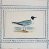 Missy Norton Set Of 4 Seagull Antique Print With Hand-painted Border