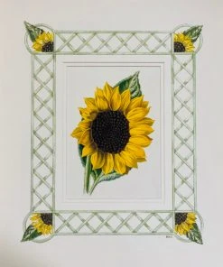 Missy Norton Sunflower Antique Print With Hand-painted Border