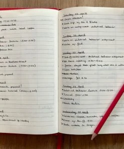 Sloane Stationery Stationery & Home BULLET JOURNAL - A5 Notebook