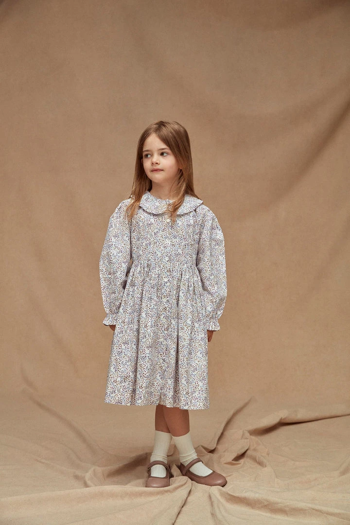 Seraphina Kids The Little Ruffle Collar Dress 5 Seraphina Kids The Little Ruffle Collar Dress