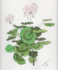 Lia Burke Libaire WHAT'S HOT Light Pink Geranium (Set Of 2)