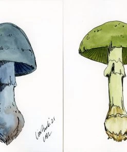 Lia Burke Libaire Earthy Mushrooms (Set Of 4) WHAT'S HOT