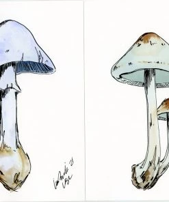 Lia Burke Libaire Rainbow Mushrooms (Set Of 4)