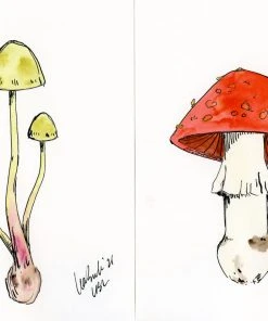 Lia Burke Libaire Rainbow Mushrooms (Set Of 4)