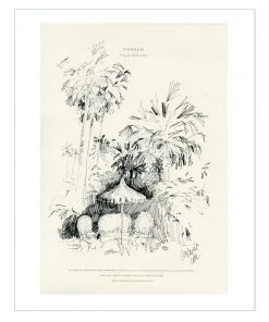 Lia Burke Libaire Hotel Stationary (Set Of 2)