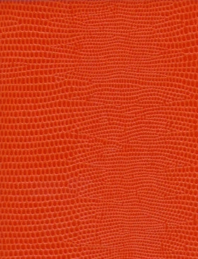 Sloane Stationery NOTEBOOK NO°50 - EVIL GENIUS 5 Sloane Stationery NOTEBOOK NO°50 - EVIL GENIUS