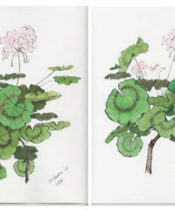 Lia Burke Libaire WHAT'S HOT Light Pink Geranium (Set Of 2)