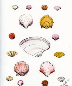 Lia Burke Libaire Shells