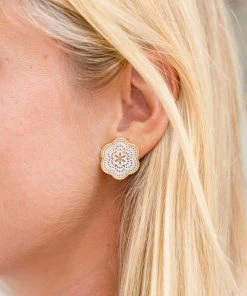 Asha WHAT'S HOT Tamarin Stud