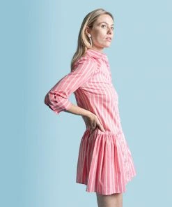 The Shirt By Rochelle Behrens The Drop Waist Shirt Dress