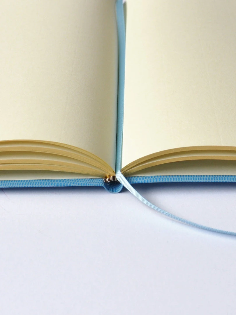 Sloane Stationery NOTEBOOK NO°51 - FAKE NEWS Father's Day 4 Sloane Stationery NOTEBOOK NO°51 - FAKE NEWS Father's Day