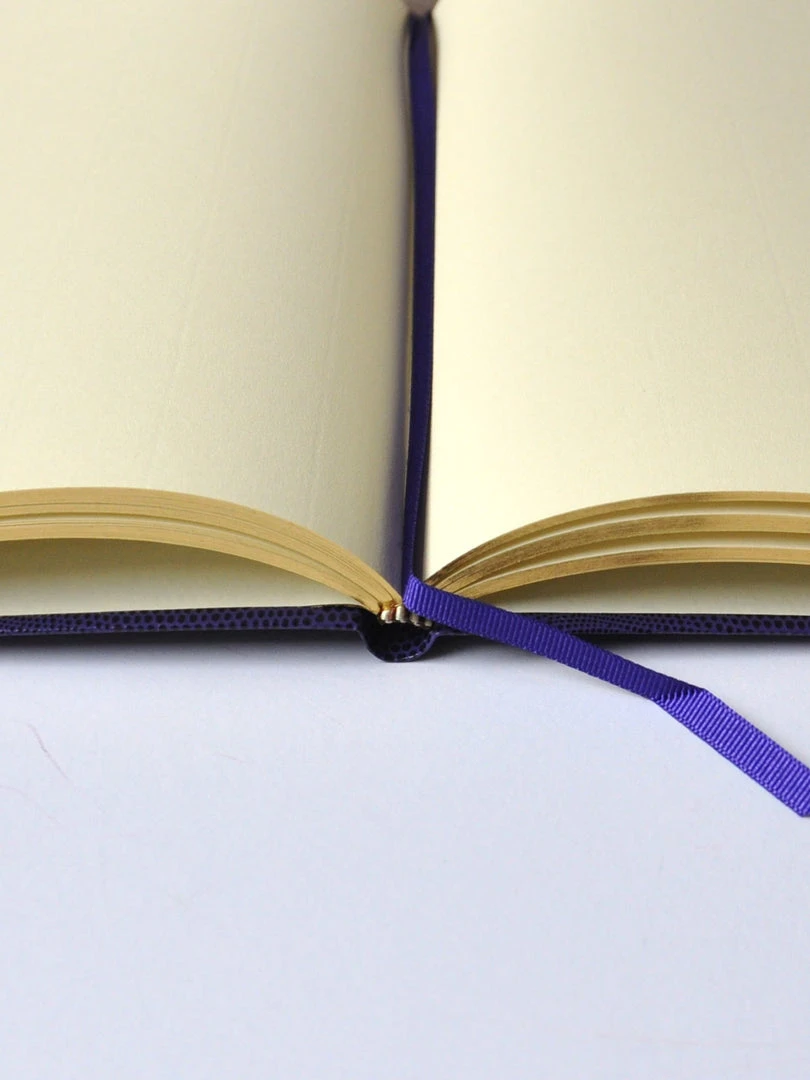 Sloane Stationery QUEEN BEE - A5 NOTEBOOK - Purple 4 Sloane Stationery QUEEN BEE - A5 NOTEBOOK - Purple