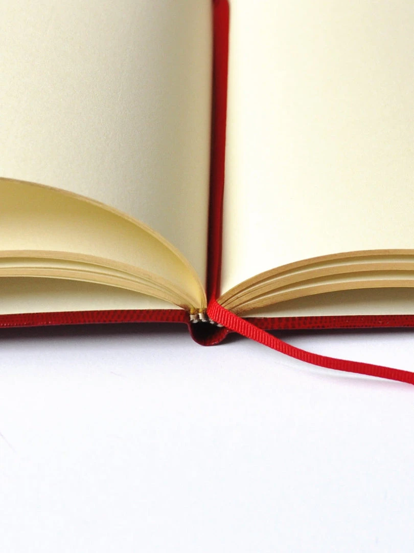 Sloane Stationery Stationery & Home NOTEBOOK NO°125 - 2021 - YEAR OF THE OX 4 Sloane Stationery Stationery & Home NOTEBOOK NO°125 - 2021 - YEAR OF THE OX