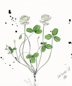 Lia Burke Libaire Splatter Clovers (Set Of 2) Art & Games